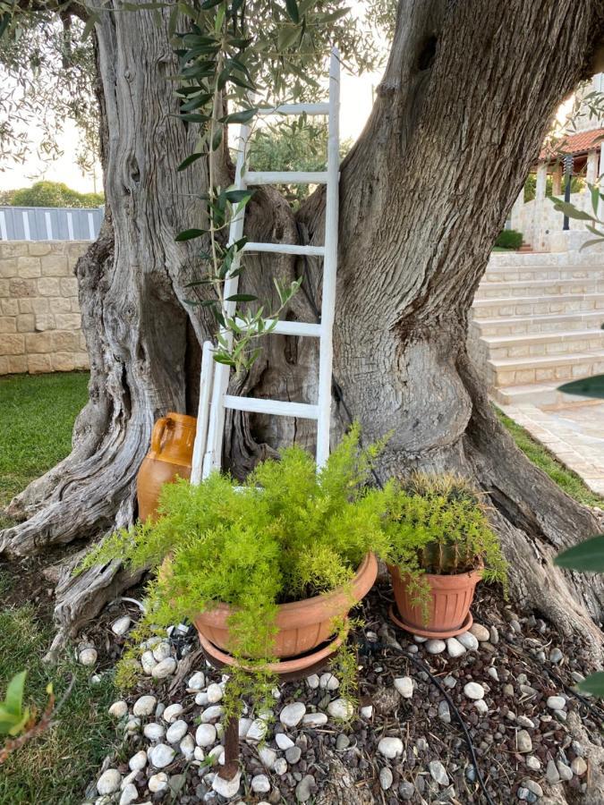 Villa Trulli Del Relax Castellana Grotte Exterior foto
